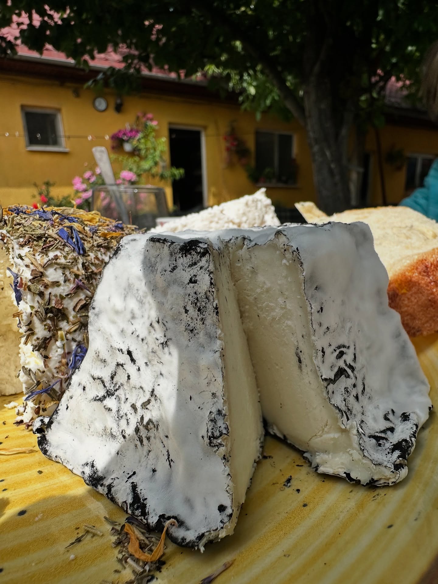 Turnu, brânză de capră de la Ferma Hărman. Foto credit: Andreea Popa - cheeseorbit.com