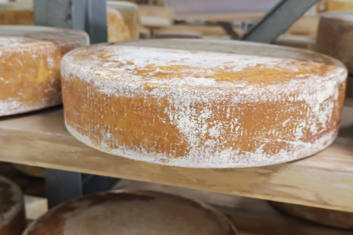 Brânză maturată
